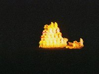 photos 2000-200901296